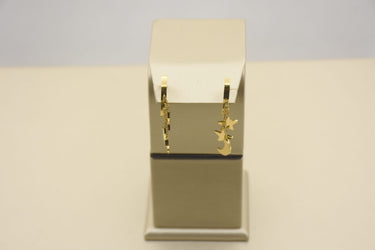 Stainless Steel Earrings with 18K Gold Plating